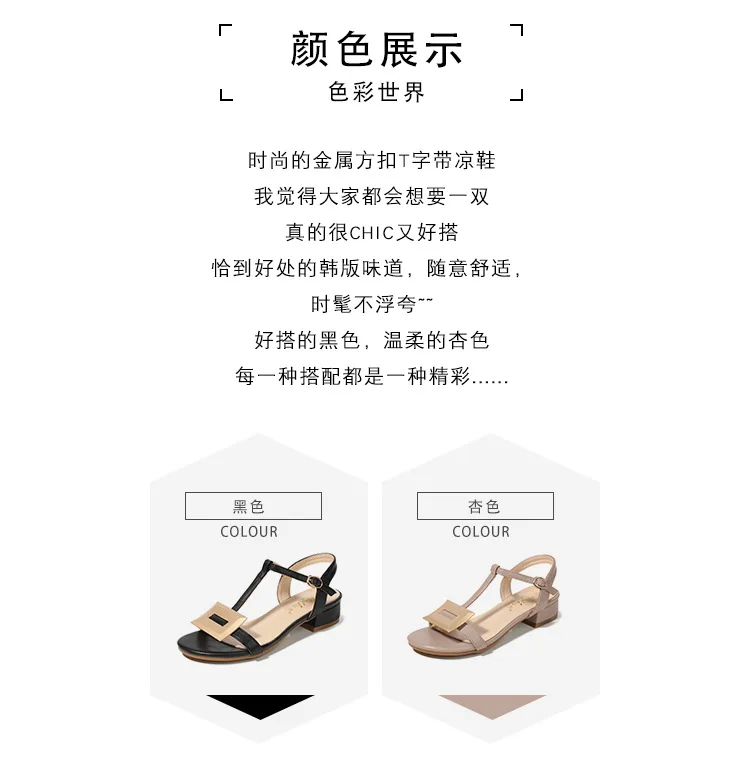 描述5