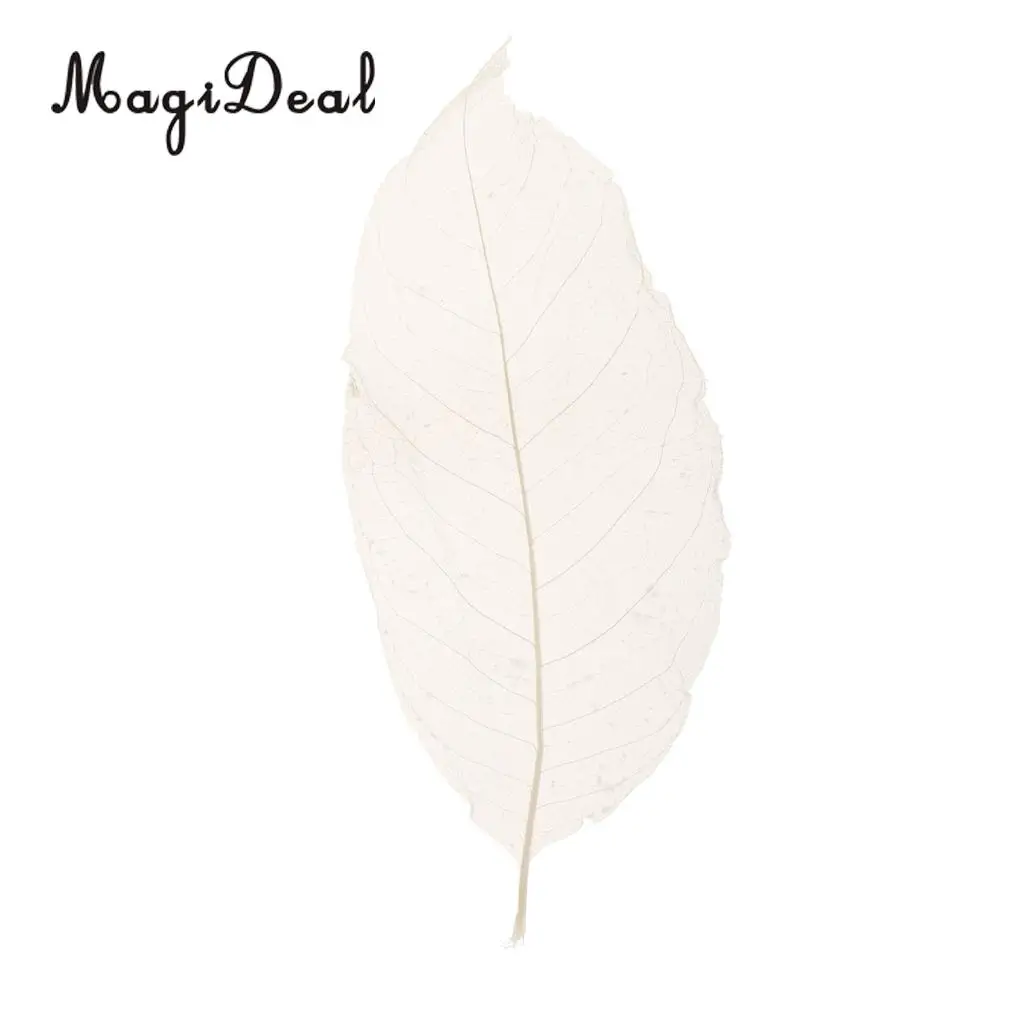 MagiDeal 50Pcs Natural Magnolia Skeleton Leaf Leaves Card Scrapbook White Wedding Party Decor Skeleton Leaves