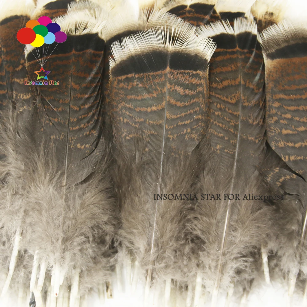 

50pcs Wholesale unique wild Turkey tail feathers 3-12 inches / 8-30 cm