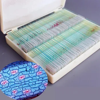 

AIBOULLY PA2 Microscope Specimen Plant Cell Animal Blood Glass Specimen Slice Sample Biological Experiments Biological Specimen