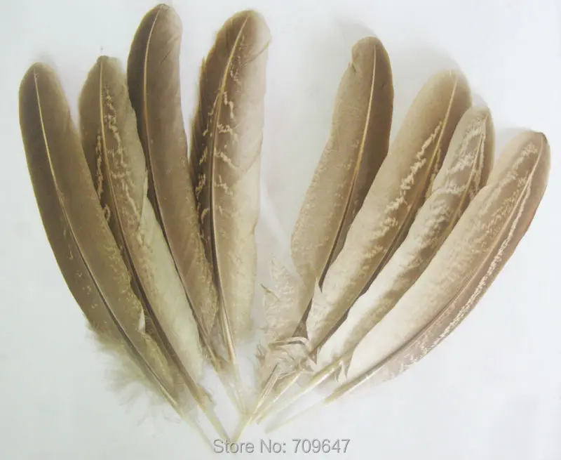 

100Pcs/Lot,5-6"(12-15cm) BEAUTIFUL FEMALE Ringneck PHEASANT WING FEATHERS Quill,Craft, Millinery, Art, Tribal, Natural,Plumas