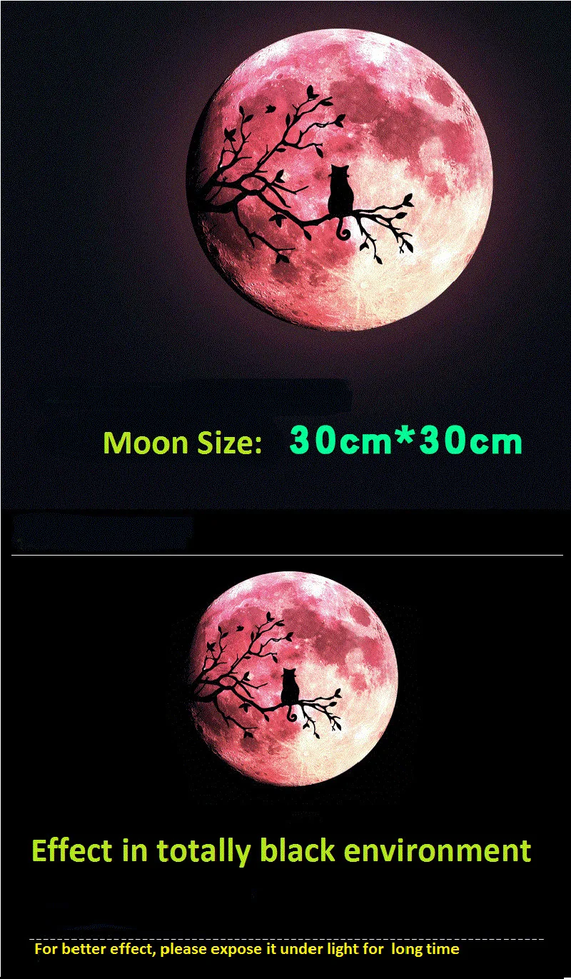9650708409_68146657