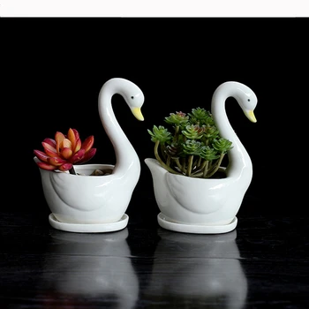 

Modern Style White Swan Ceramic Planter for Succulents Decorative Desktop Succulents Pots Mini Flower Pot Home Garden Decoration