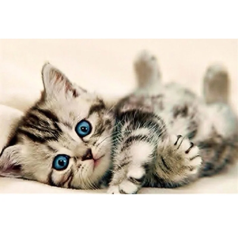 Square/Round Animal Diamond Embroidery 5D Diy Painting Kitten Cross Stitch Mosaic Needlework Rhinestone Decor | Дом и сад