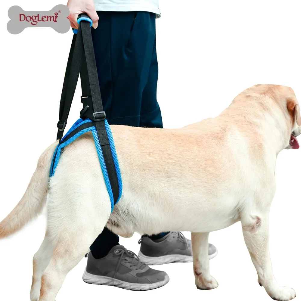 XL/L/M/S старый питомец прогулки кронштейн товары для собак с травмой ног