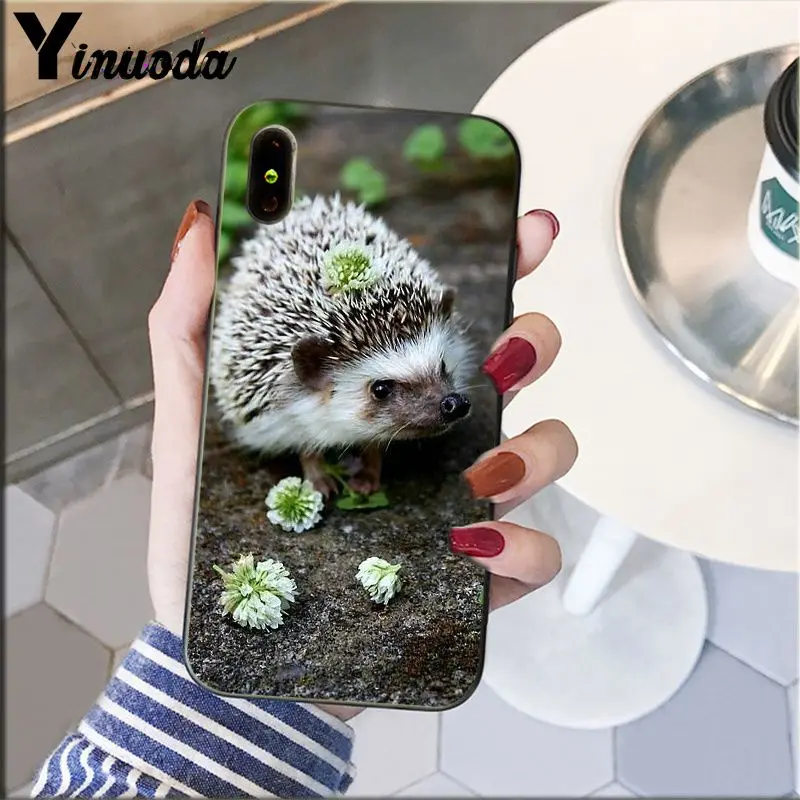 Hedgehog Cute in Teacup Animal Art