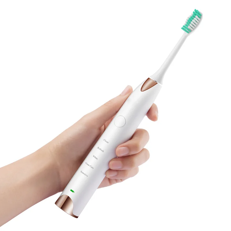 

GOODPI Smart Sonic Electric Toothbrush USB Charge Rechargeable Tooth Brushes 2Pcs Replaceable Heads Replaceable Brush Heads