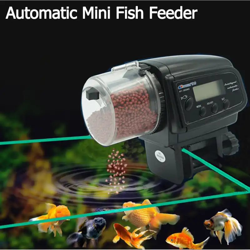 turtle feeder vacation