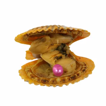 

2018 DIY Rose Red Rice Single Pearls Oysters AAAA 7-8mm Individually Wrapped great party gift red shell mussel RO024