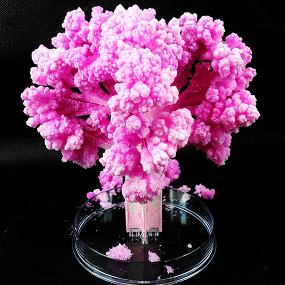 

2019 135mm H Pink Big Paper Japanese Magic Sakura Tree Magically Growing Trees Kit Desktop Cherry Blossom Educational Toys 2PCS