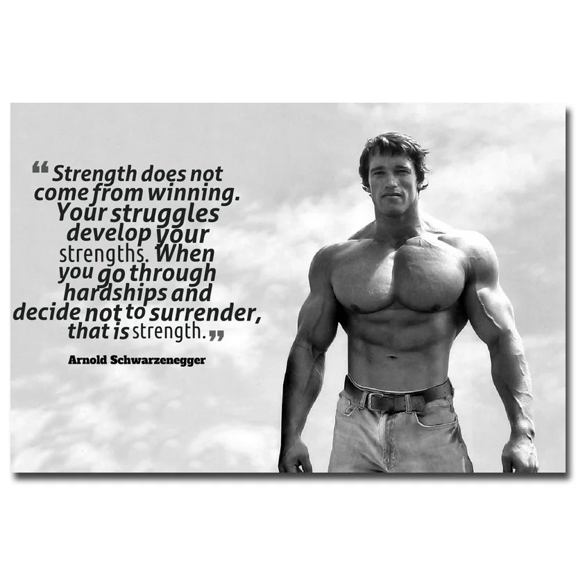 ARNOLD SCHWARZENEGGER Bodybuilding Motivational Silk Poster 13x20 24x36/" 036