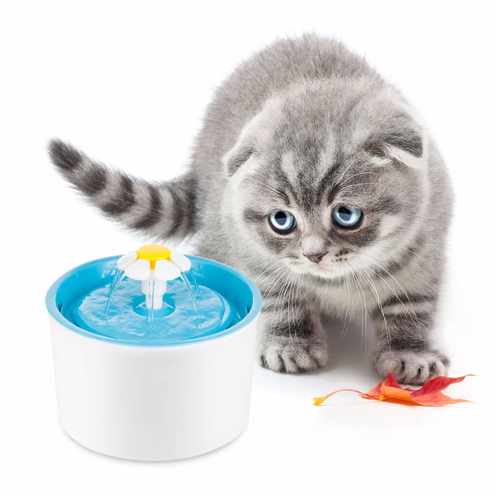 Water Filter For My Cat S Water Bowl Water Filter For My Cat S Water Bowl
