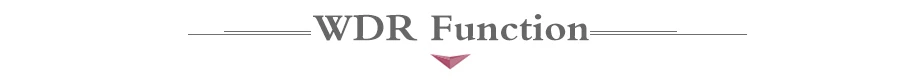 WDR Function