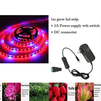 

1m LED Plant Grow Lights 5050 LED Flexible Strip 12V Red Blue 3:1 4:1 5:1 power supply Greenhouse Hydroponic Plant Growing lamp