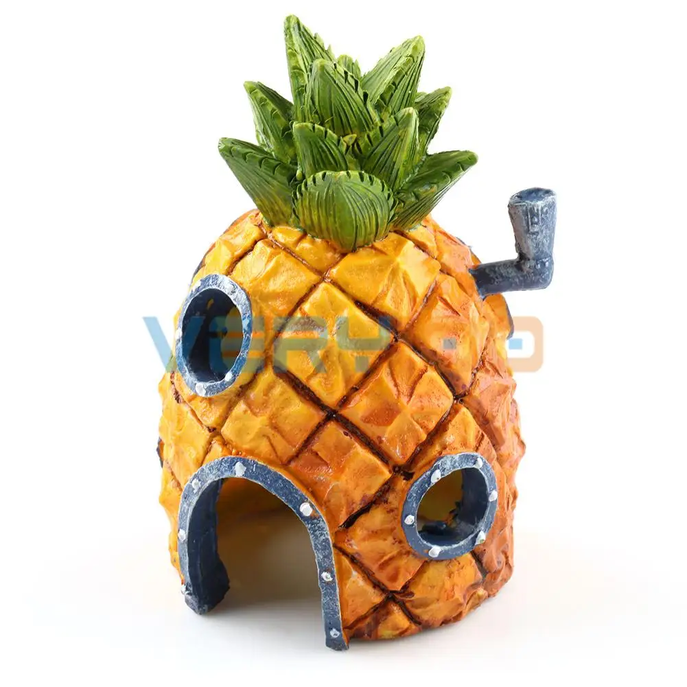 Evde büyüyen ananas Evde büyüyen ananas
