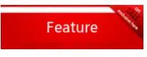 feature