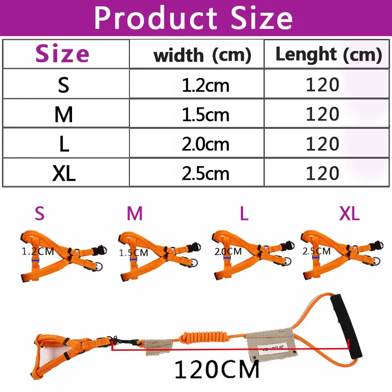 dog leash and harness 2