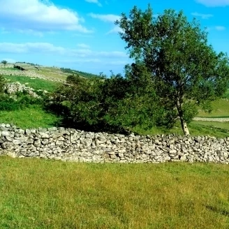 Co Galway  Connemara  Lough Corrib Poster Print (38 x 12)