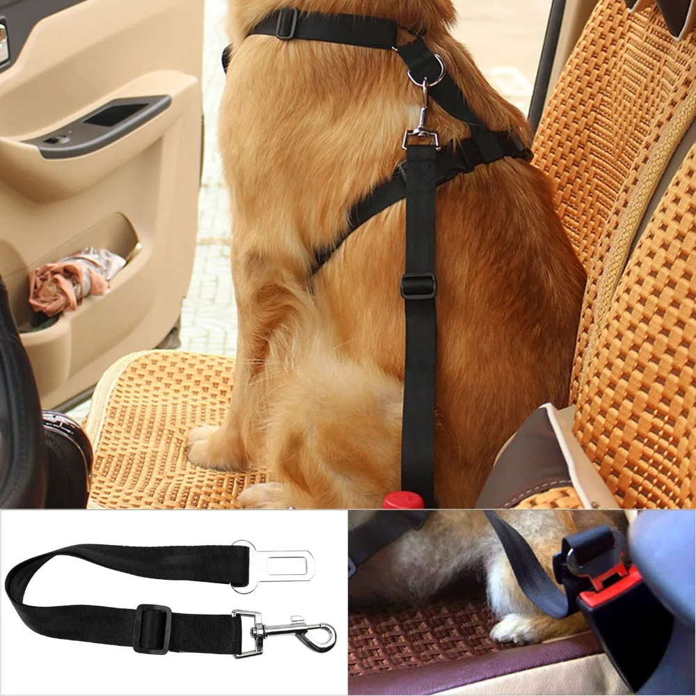 seat belts (8)