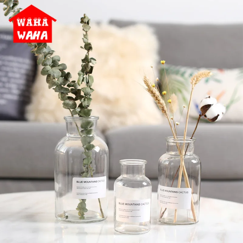 

Creative Nordic Transparent Glass Vases Hydroponics Plant Flower Bottle Terrarium Containers Living Room Table Decoration