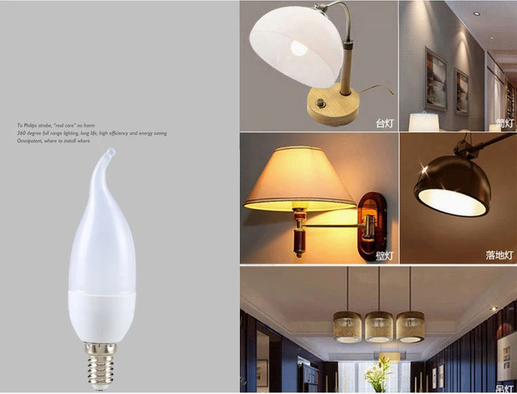 3833262657_2005233005