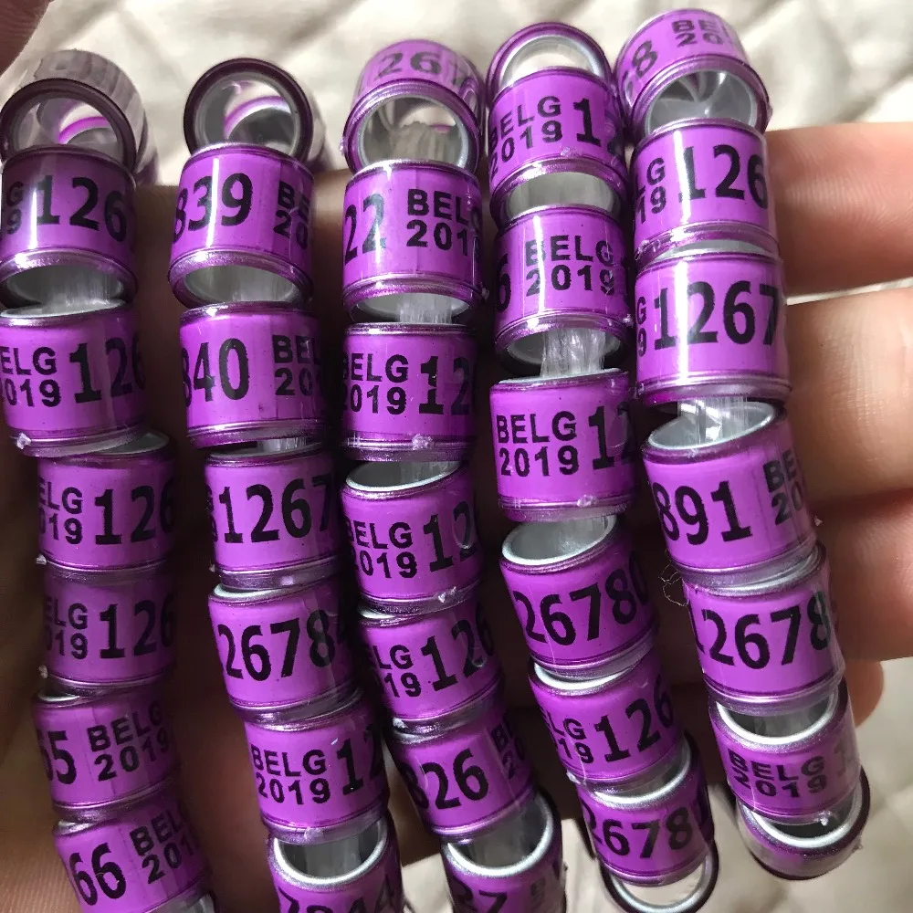 

2019 purple BELG pigeons rings bird ring