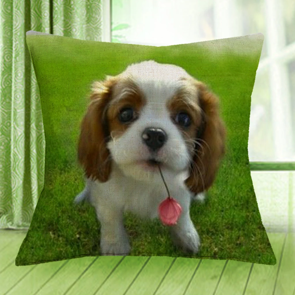 cavalier king charles spaniel cushion cover lovely puppy dog print