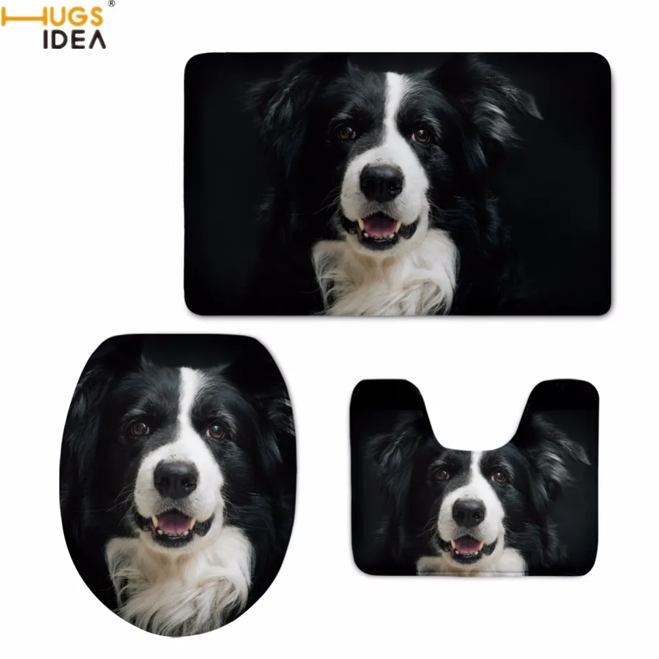 border collie accessories