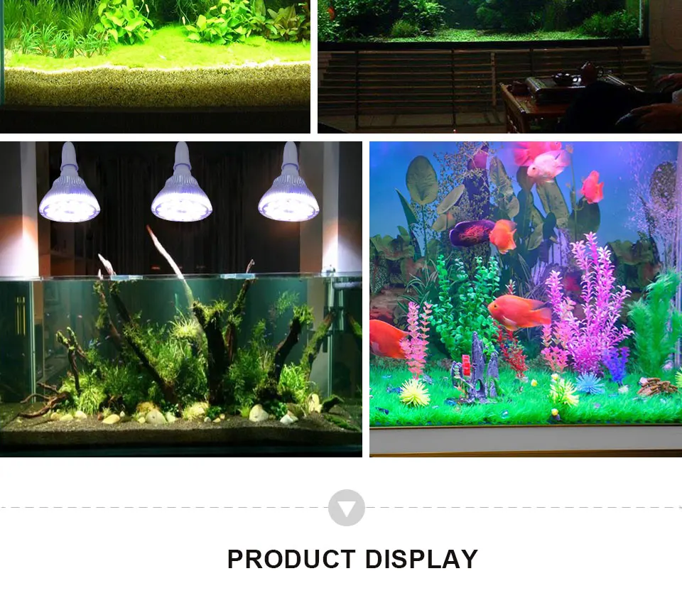 Coral Reef Fish Tank Light  (10)