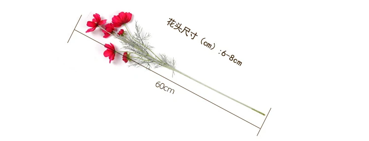 qq20190219105858
