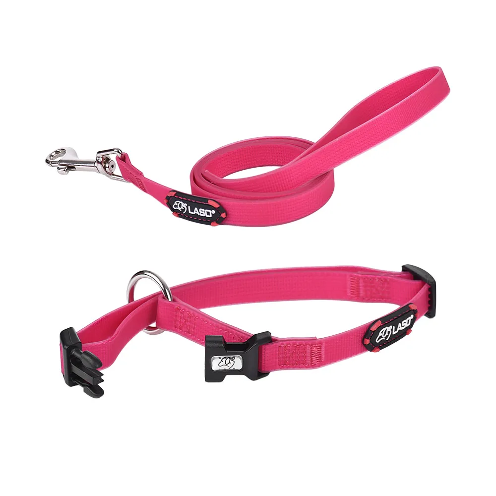 2pcs 1.2m Dog Collar and Leash Set Includes Adjustable Collar Walking