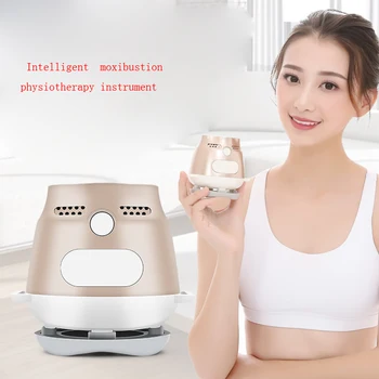 

1pcs Intelligent Temperature Control Moxibustion Instrument Electric Smokeless mute Moxibustion Box Home Health Warm Palace