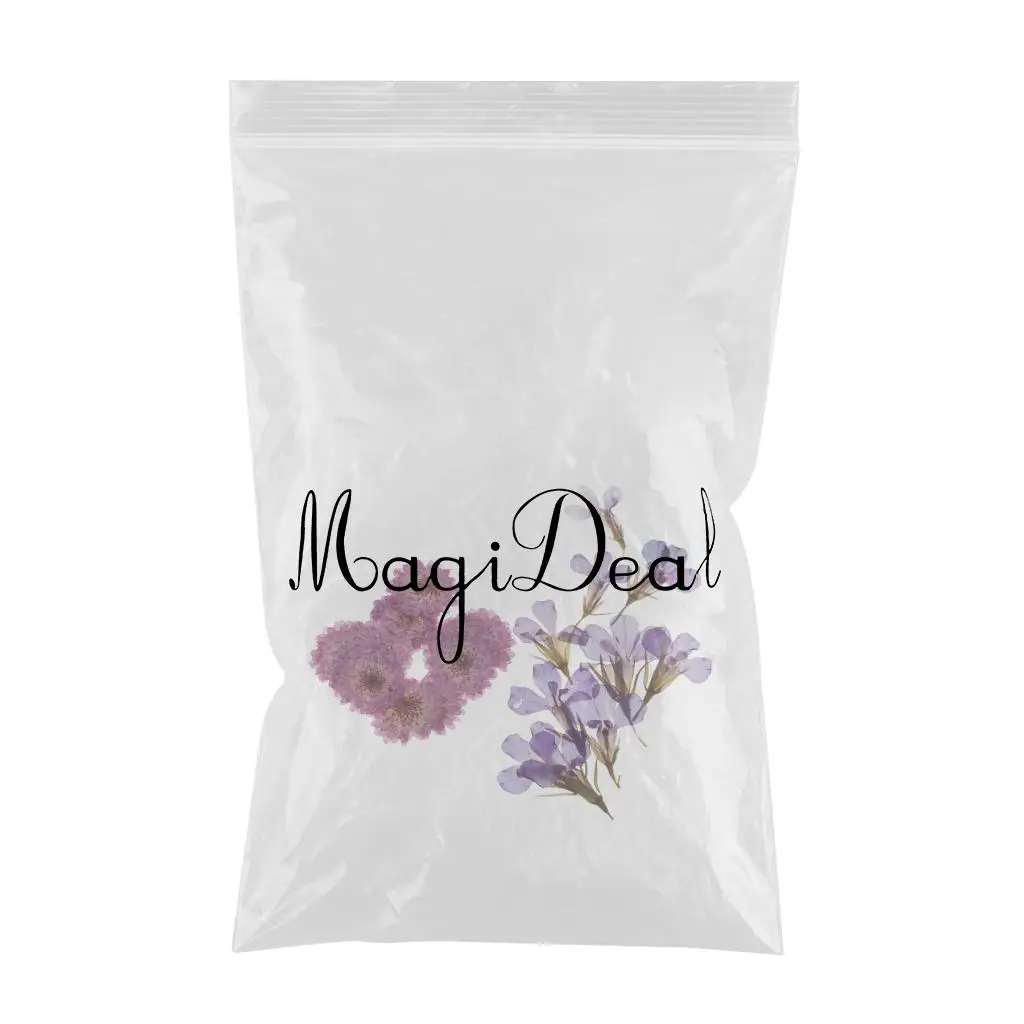 20 Pieces Pressed Dried Daisy & Lobelia Flower Dried Real Flowers Embellishments Card Making Crafts