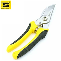 BS539098