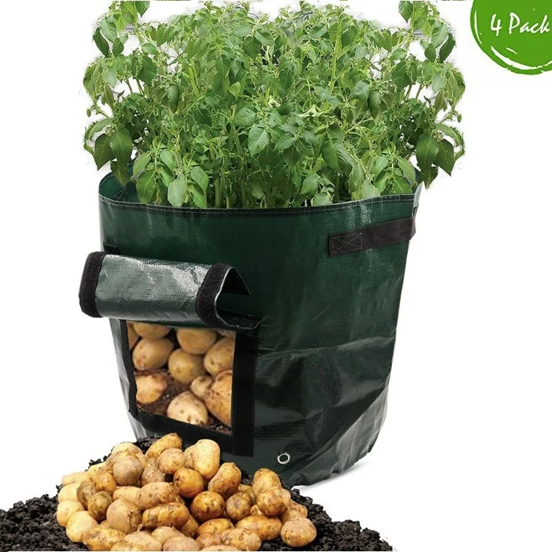 

Potato Grow Bag 4pc, Vegetable Planting Grow Bag, 35*50cm, 10 Gallon