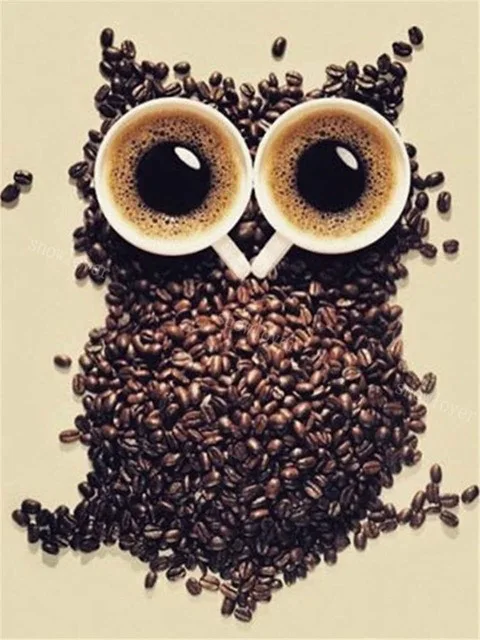 HOMFUN-Full-Square-Round-Drill-5D-DIY-Diamond-Painting-Cartoon-animal-owl-3D-Embroidery-Cross-Stitch.jpg_640x640 (3)