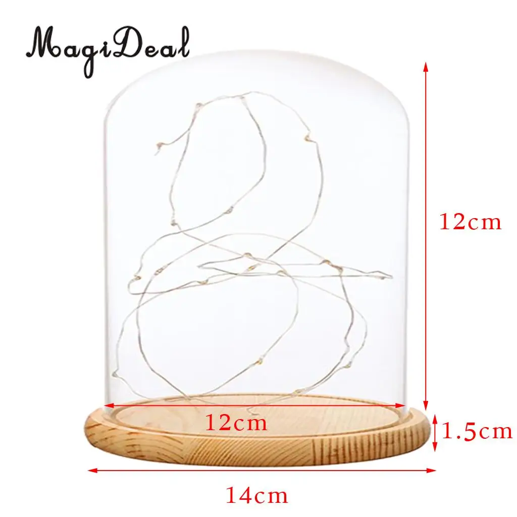 Glass Display Dome Cloche With Suspended LED Lights Tabletop Lamp Wedding Holiday Decor Crafts