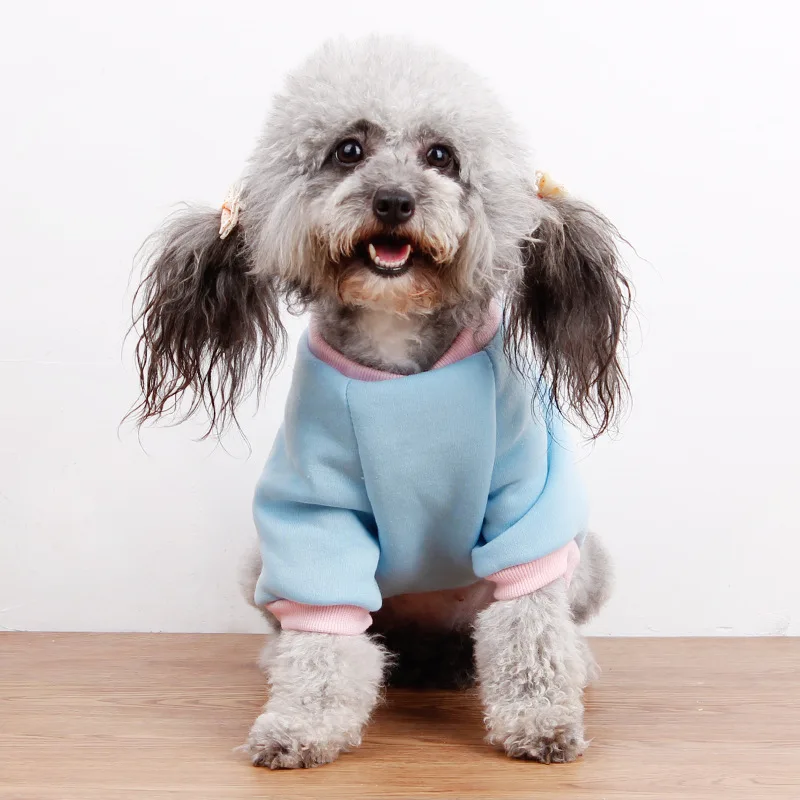 Fashion Pet Cat Dog Villus Clothes For Warm And Winter Solid Color with Lollipop Clothing | Дом и сад
