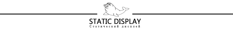 LAZYSEALSTATIC DISPLAY