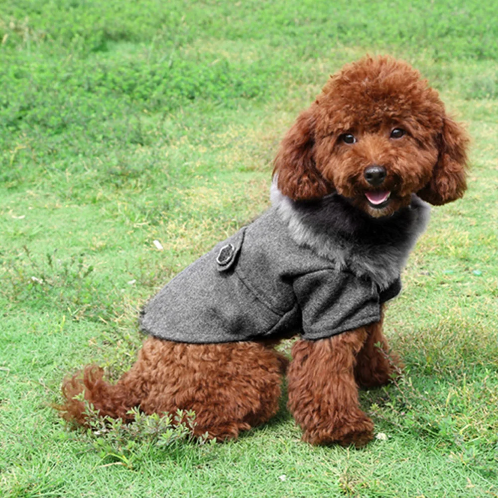 Зимняя одежда с принтом в виде Собак Мопс куртка для питомца, кошки куртка одежда с капюшоном для собаки Мягкий щенок для малых и средних собак petsroupa cachorro