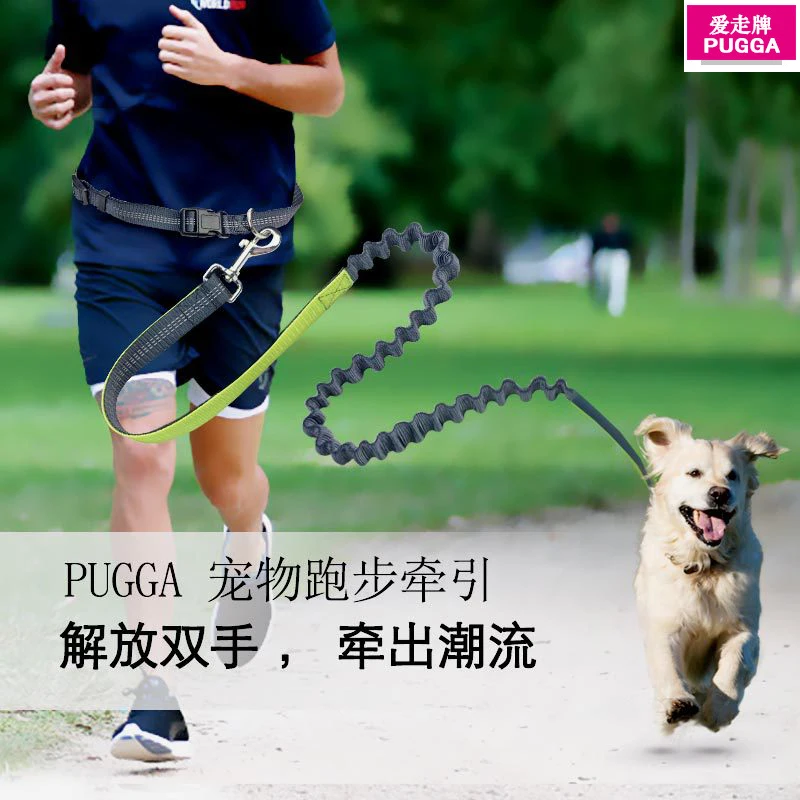 Speciale Grote Halsbanden En Trekkabel Pak Sterk En Duurzaam Huisdier Producten Marathon running Set mode 4 kleuren