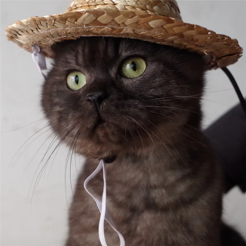 Outdoor Straw Sombrero Pets Cap Hat Dog Cat Headband Festival Cosplay Headdress Costumes Hair Band Hat Cat Dog Band 40JA11 (3)