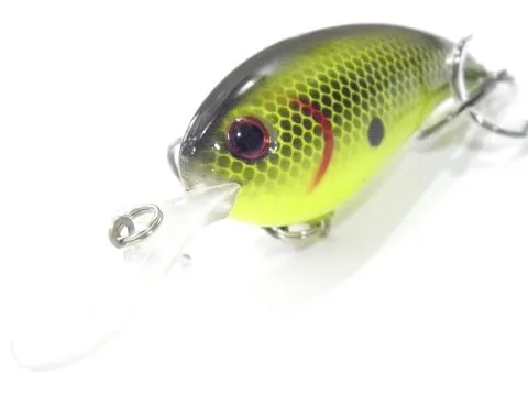 c55x22