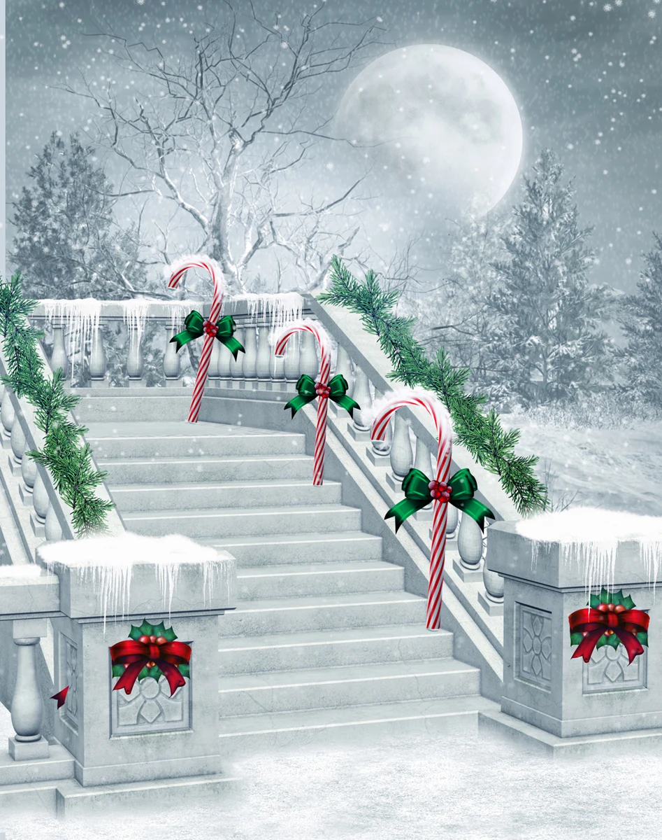 

Kate Digital Printing Christmas Photography Backdrops White Frozen Snow Tree Moon Background Winter White Stairs Photo Studio