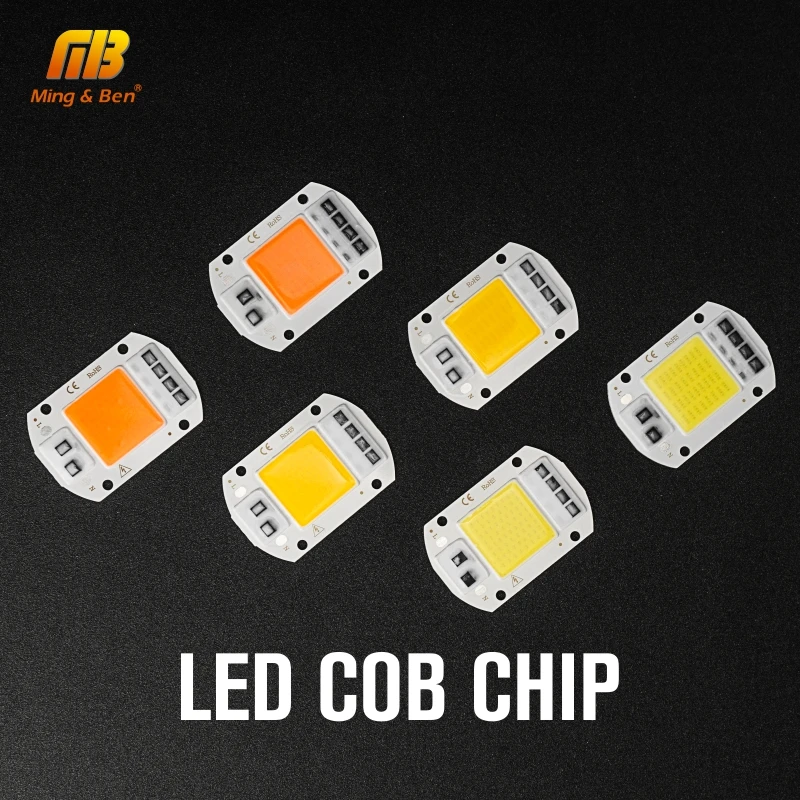 5 шт. LED COB чип 20 Вт 30 50 AC 220 В Smart IC DIY светодиодные шарики для светодиодного
