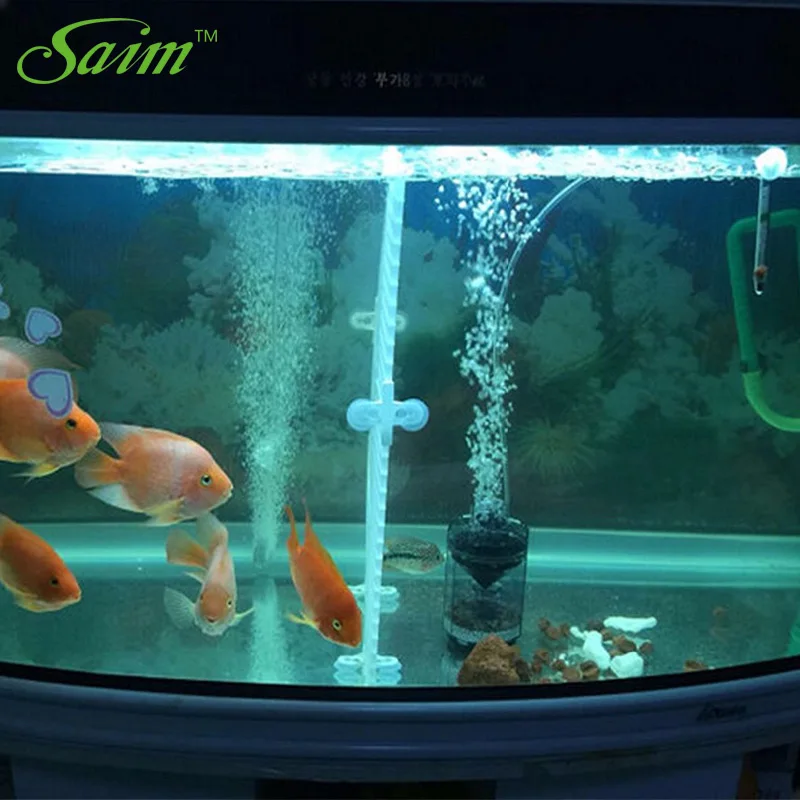 aquarium