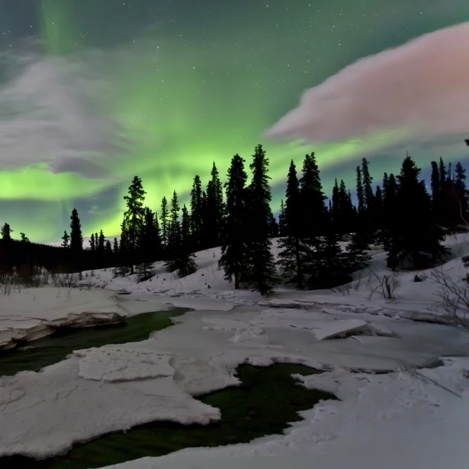 Aurora borealis over creek  Yukon  Canada Poster Print (34 x 22)