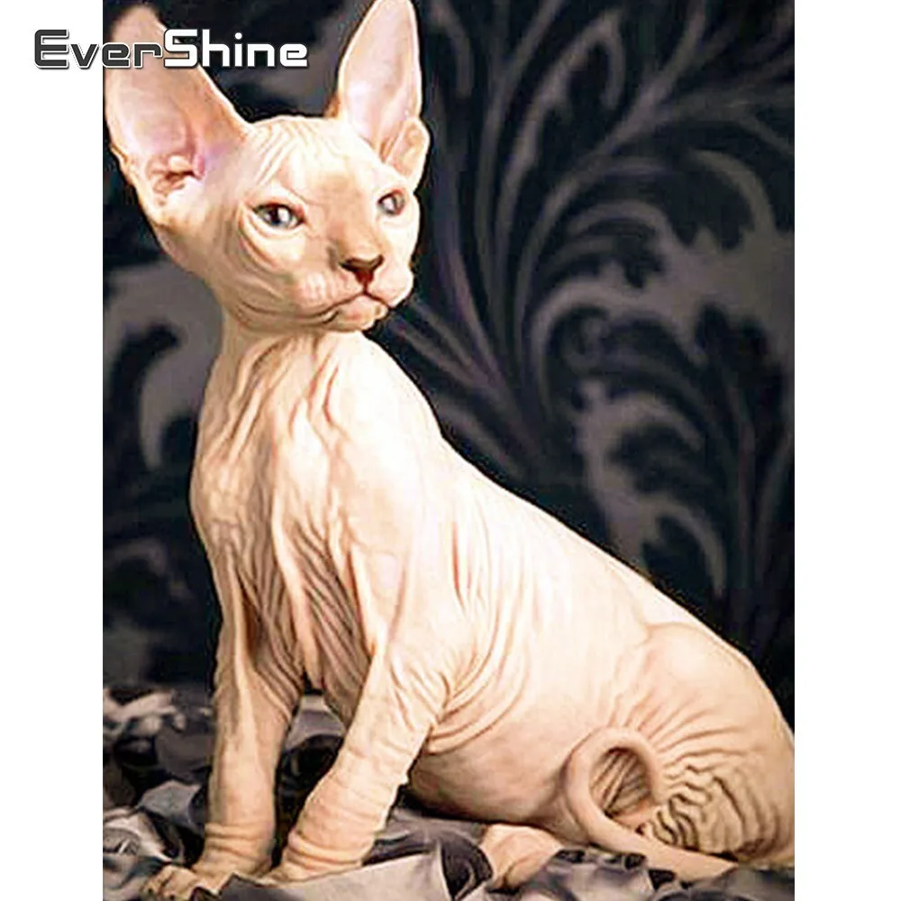 

Evershine DIY Cat Diamond Painting Full Square 5D Diamond Embroidery Sale Animals Rhinestones Pictures Diamond Art Home Decor