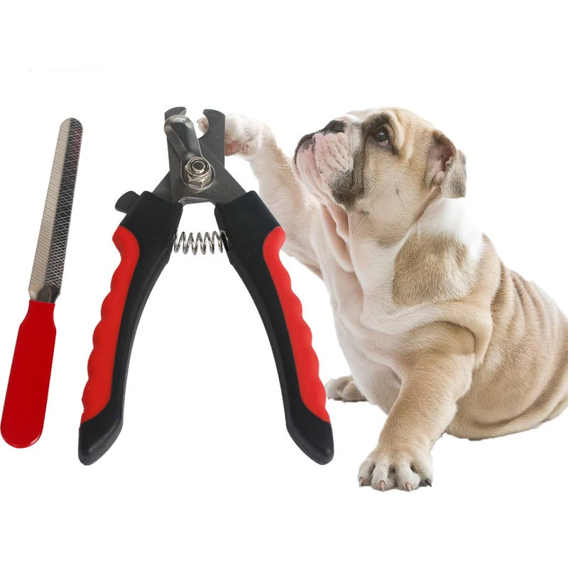 

12pcs/lot Professional Dog Cat Nail Clipper Pet Paw Nail Stainless Steel Scissors Animal Toe Claw Grooming Tool Pet Supplies S L