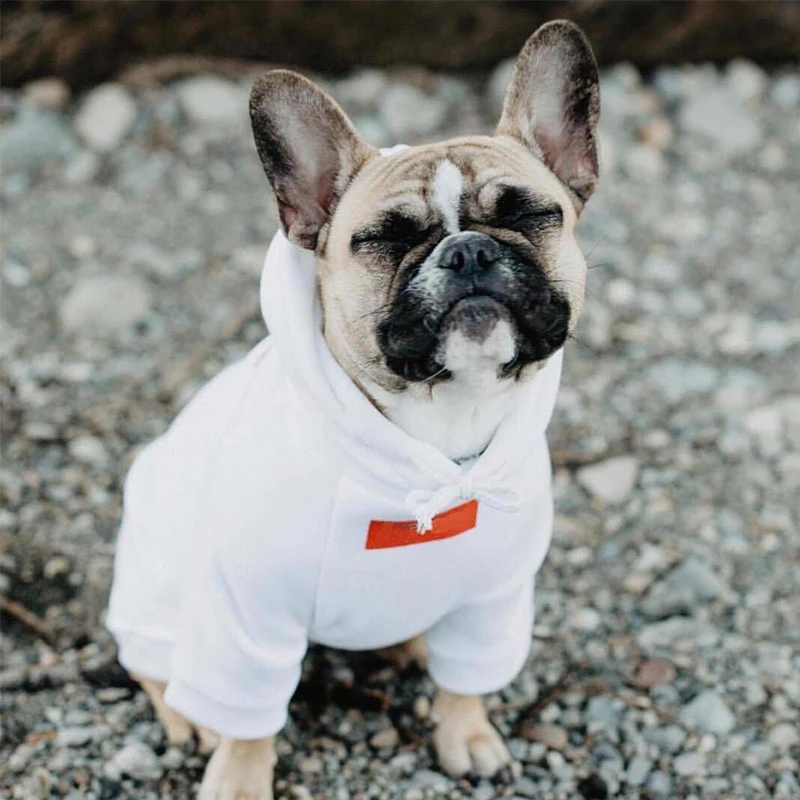 

Fashion Dog Clothes Dropshipping BR0014